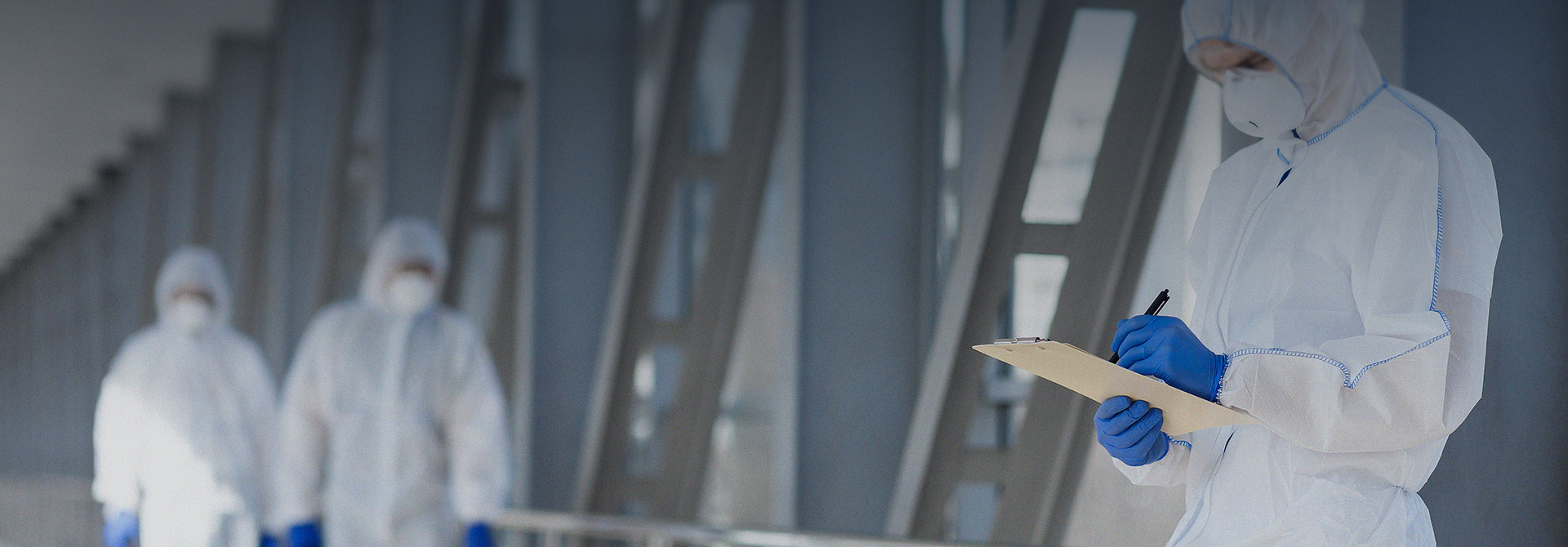 虫害找 • 景天虫控