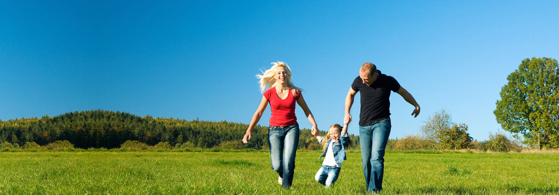 虫控选 • 景天虫控