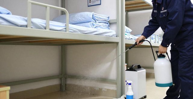 学校灭臭虫_灭臭虫公司多少钱_灭臭虫效果最好的药